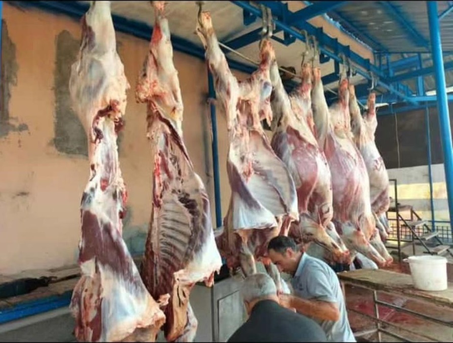 Pehlivanlar Besicilik